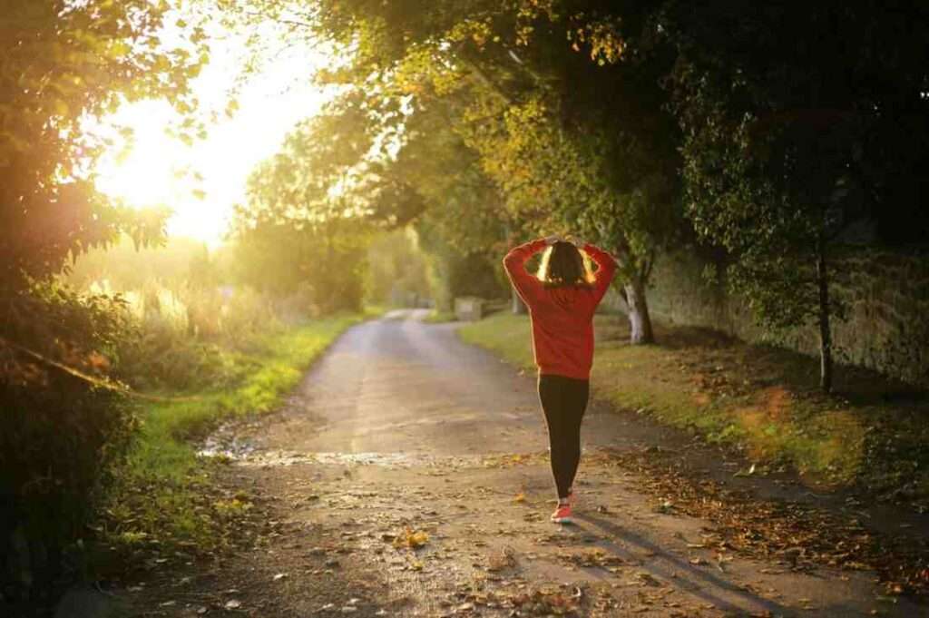 A peaceful evening stroll under golden sunlight, where nature and calm vibes lead the way