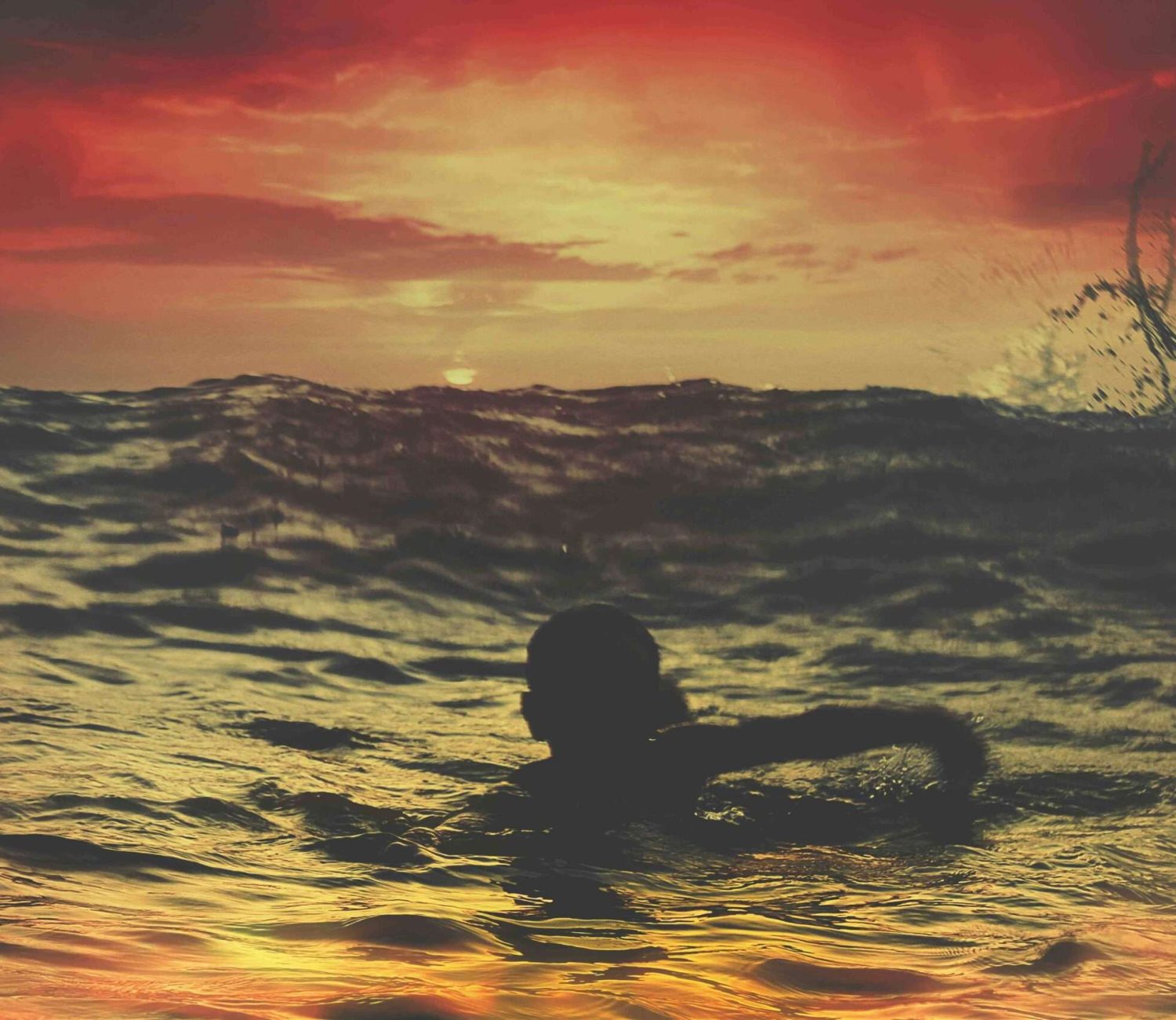 Keep Swimming: It is your battle, your journey to the shore…
